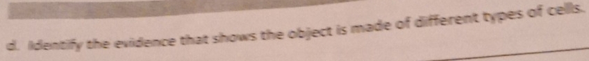 Identify the evidence that shows the object is made of different types of cells.