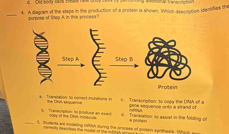 d. Old body cells create new body cells by perorming additional transcription.
_4. A diagram of the steps in the production of a protein is shown. Which description identifies the
purpose of Step A in this process?
a. Translation: to correct mutations in c. Transcription: to copy the DNA of a
the DNA sequence gene sequence onto a strand of
mRNA
b. Transcription: to produce an exact d. Translation: to assist in the folding of
copy of the DNA molecule a protein
_5. Students are modeling mRNA during the process of protein synthesis. Which an
correctly describes the model of the mRNA strand t