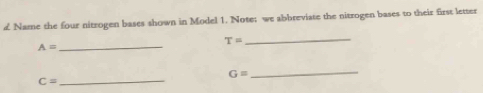 a Name the four nitrogen bases shown in Model 1. Note; we abbreviate the nitrogen bases to their first letter 
_
T=
A=
_
G=
_ C=
_