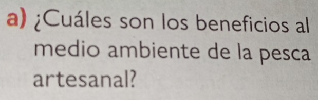 ¿Cuáles son los beneficios al 
medio ambiente de la pesca 
artesanal?