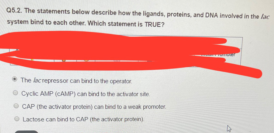 Solved: The statements below describe how the ligands, proteins, and ...