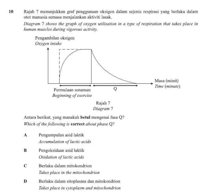 Rajah 7 menunjukkan graf penggunaan oksigen dalam sejenis respirasi yang berlaku dalam
otot manusia semasa menjalankan aktiviti lasak.
Diagram 7 shows the graph of oxygen utilisation in a type of respiration that takes place in
human muscles during vigorous activity.
Pengambilan oksigen
Oxygen intake
Masa (minit)
Permulaan senaman Q
Time (minute)
Beginning of exercise
Rajah 7
Diagram 7
Antara berikut, yang manakah betul mengenai fasa Q?
Which of the following is correct about phase Q?
A Pengumpulan asid laktik
Accumulation of lactic acids
B Pengoksidaan asid laktik
Oxidation of lactic acids
C Berlaku dalam mitokondrion
Takes place in the mitochondrion
D Berlaku dalam sitoplasma dan mitokondrion
Takes place in cytoplasm and mitochondrion