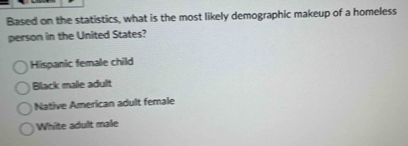 Based on the statistics, what is the most likely demographic makeup of a homeless
person in the United States?
Hispanic female child
Black male adult
Native American adult female
White adult male