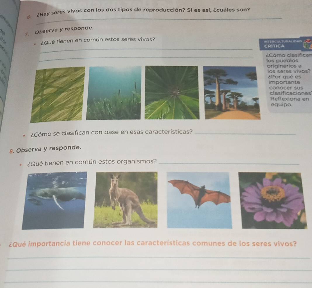 Hay seres vivos con los dos tipos de reproducción? Si es así, ¿cuáles son? 
_ 
7. Observa y responde. 
¿Qué tienen en común estos seres vivos? 
INTERCULTURALIDAD 
_ 
CRÍTICA 
_¿Cómo clasifican 
los pueblos 
originarios a 
los seres vivos? 
¿Por qué es 
importante 
conocer sus 
clasificaciones 
Reflexiona en 
equipo. 
¿Cómo se clasifican con base en esas características?_ 
8. Observa y responde. 
¿Qué tienen en común estos organismos?_ 
¿Qué importancia tiene conocer las características comunes de los seres vivos? 
_ 
_ 
_