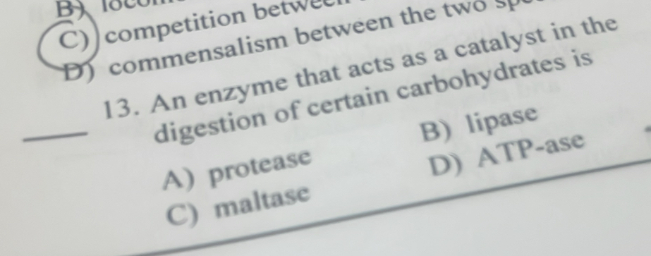 B1800
C) competition betwee
D) commensalism between the two sp
13. An enzyme that acts as a catalyst in the
_digestion of certain carbohydrates is
A) protease B) lipase
C) maltase D) ATP-ase