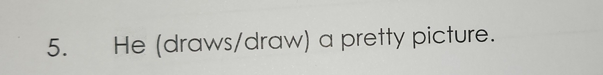 He (draws/draw) a pretty picture.