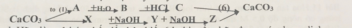 beginarrayr to(1),A_ +H_2OB_ +HClC CaCO_3to X+NaOH,Y+NaOHto Zendarray Cto CaCO_3
_  CD