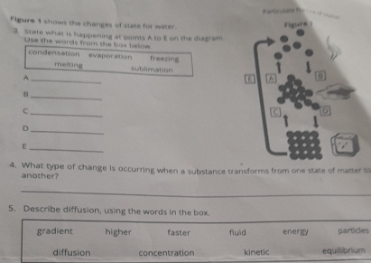 Particulats fu 
Figure 1 shows the changes of slate for water
3. State what is happening at points A to E on the diagram
Use the words from the bax below.
condensation evaporation freezing
meltingt subllmation
_A
_B
_C
_D
_E
4. What type of change is occurring when a substance transforms from one state of matter to
another?
_
_
5. Describe diffusion, using the words in the box.
gradient higher faster fiuid energy particles
diffusion concentration _kinetic equilibrium