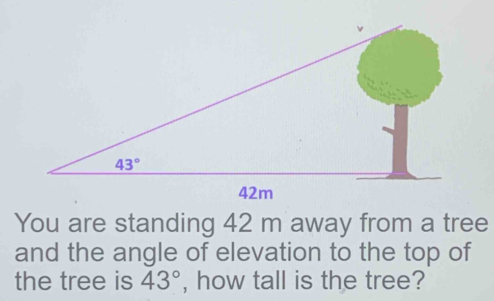 You are standing 42 m away from a tree
and the angle of elevation to the top of
the tree is 43° , how tall is the tree?