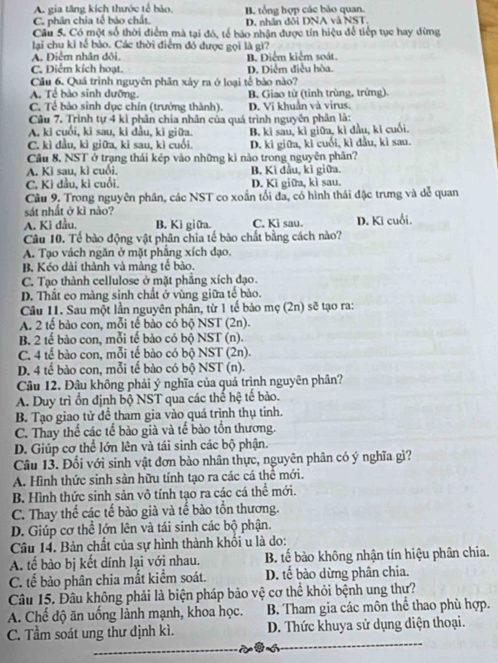 A. gia tăng kích thước tế bảo, B. tổng hợp các bảo quan.
C. phân chia tế bảo chất. D. nhân đổi DNA và NST,
Câu 5. Có một số thời điểm mà tại đó, tế bảo nhận được tín hiệu để tiếp tục hay dừng
lại chu kỉ tế bảo. Các thời điểm đó được gọi là gì?
A. Diểm nhân dôi. B. Điểm kiểm soát.
C. Điểm kích hoạt. D. Diểm điều hòa.
Cầu 6. Quá trình nguyên phân xảy ra ở loại tế bảo nào?
A. Tể bảo sinh dưỡng. B. Giao tử (tỉnh trùng, trùng).
C. Tế bảo sinh dục chỉn (trưởng thành). D. Vi khuẩn và virus.
Câu 7. Trình tự 4 kì phân chía nhân của quá trình nguyên phân là:
A. kì cuối, kì sau, kỉ đầu, kỉ giữa. B. kỉ sau, kì giữa, kì dầu, kì cuối.
C. kì đầu, kì giữa, kì sau, kì cuối. D. kì giữa, kì cuối, kì đầu, kì sau.
Cầu 8. NST ở trạng thái kép vào những kỉ nào trong nguyên phân?
A. Kì sau, kì cuối. B. Kì đầu, kì giữa.
C. Kì đầu, kì cuối. D. Kì giữa, kì sau.
Câu 9, Trong nguyên phân, các NST co xoắn tối đã, có hình thái đặc trưng và dễ quan
sát nhất ở kì nào?
A. Kì đầu. B. Kì giữa. C. Kì sau. D. Kì cuối.
Câu 10. Tế bào động vật phân chia tế bào chất bằng cách nào?
A. Tạo vách ngăn ở mặt phẳng xích dạo.
B. Kéo dài thành và màng tế bào.
C. Tạo thành cellulose ở mặt phẳng xích đạo.
D. Thắt eo màng sinh chất ở vùng giữa tế bào.
Câu 11. Sau một lần nguyên phân, từ 1 tế bảo mẹ (2n) sẽ tạo ra:
A. 2 tế bảo con, mỗi tế bảo có bộ NST (2n).
B. 2 tế bào con, mỗi tế bào có bộ NST (n).
C. 4 tế bào con, mỗi tế bào có bộ NST (2n).
D. 4 tế bào con, mỗi tế bào có bộ NST (n).
Câu 12. Đâu không phải ý nghĩa của quá trình nguyên phân?
A. Duy trì ồn định bộ NST qua các thế hệ tế bào.
B. Tạo giao tử để tham gia vào quá trình thụ tinh.
C. Thay thế các tế bào già và tế bào tồn thương.
D. Giúp cơ thể lớn lên và tái sinh các bộ phận.
Câu 13. Đổi với sinh vật đơn bào nhân thực, nguyên phân có ý nghĩa gì?
A. Hình thức sinh sản hữu tính tạo ra các cá thể mới.
B. Hình thức sinh sản vô tính tạo ra các cá thể mới.
C. Thay thế các tế bào già và tế bào tồn thương.
D. Giúp cơ thể lớn lên và tái sinh các bộ phận.
Câu 14. Bản chất của sự hình thành khối u là do:
A. tế bào bị kết dính lại với nhau. B. tế bào không nhận tín hiệu phân chia.
C. tế bào phân chia mắt kiểm soát. D. tế bào dừng phân chia.
Câu 15. Đâu không phải là biện pháp bảo vệ cơ thể khỏi bệnh ung thư?
A. Chế độ ăn uống lành mạnh, khoa học. B. Tham gia các môn thể thao phù hợp.
C. Tầm soát ung thư định kì. D. Thức khuya sử dụng điện thoại.