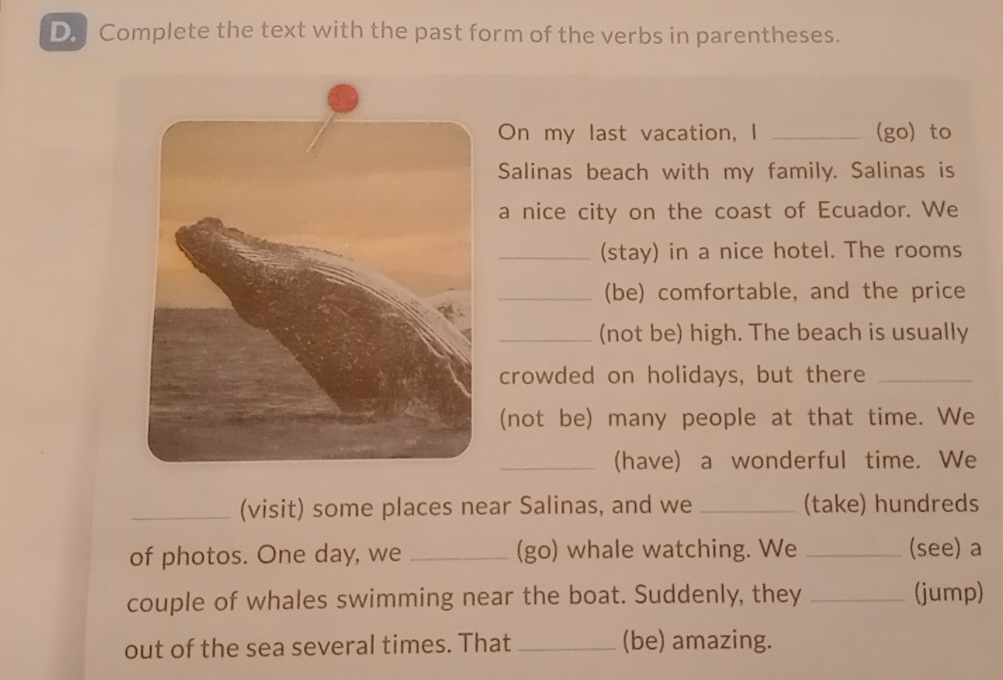 Complete the text with the past form of the verbs in parentheses. 
On my last vacation, I _(go) to 
Salinas beach with my family. Salinas is 
a nice city on the coast of Ecuador. We 
_(stay) in a nice hotel. The rooms 
_(be) comfortable, and the price 
_(not be) high. The beach is usually 
crowded on holidays, but there_ 
(not be) many people at that time. We 
_(have) a wonderful time. We 
_(visit) some places near Salinas, and we _(take) hundreds 
of photos. One day, we _(go) whale watching. We _(see) a 
couple of whales swimming near the boat. Suddenly, they _(jump) 
out of the sea several times. That_ (be) amazing.