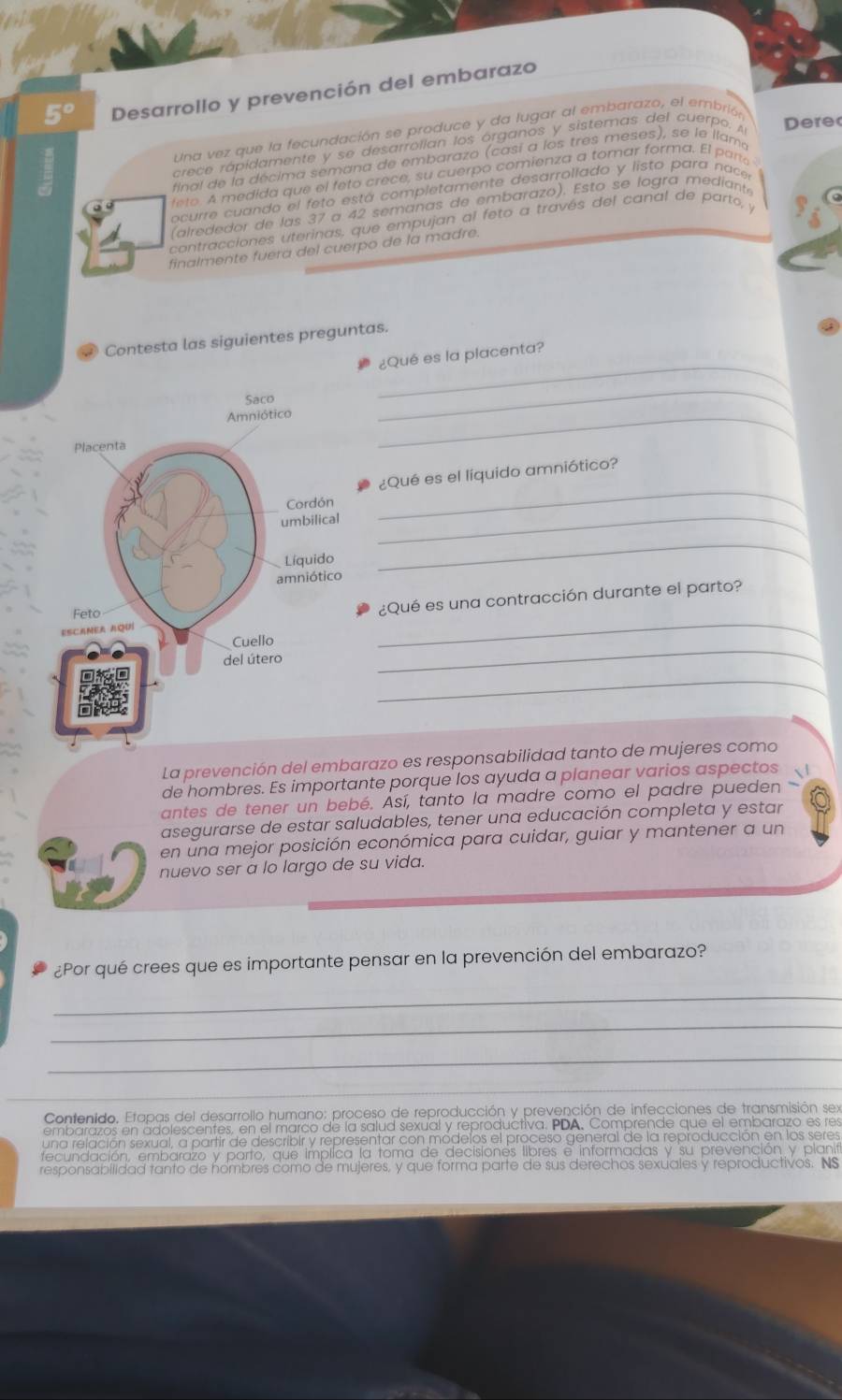 5° Desarrollo y prevención del embarazo
Una vez que la fecundación se produce y da lugar al embarazo, el embrión
crece rápidamente y se desarrollan los órganos y sistemas del cuerpo. A Dere
final de la décima semana de embarazo (casí a los tres meses), se le llama
feto. A medida que el feto crece, su cuerpo comienza a tomar forma. El pare
ocurre cuando el feto está completamente desarrollado y listo para nace
(alrededor de las 37 a 42 semanas de embarazo). Esto se logra mediant
contracciones uterinas, que empujan al feto a través del canal de parto, y
finalmente fuera del cuerpo de la madre.
Contesta las siguientes preguntas.
¿Qué es la placenta?
_
_
_
¿Qué es el líquido amniótico?
_
_
_
¿Qué es una contracción durante el parto?
_
_
La prevención del embarazo es responsabilidad tanto de mujeres como
de hombres. Es importante porque los ayuda a planear varios aspectos √ 
antes de tener un bebé. Así, tanto la madre como el padre pueden
asegurarse de estar saludables, tener una educación completa y estar
en una mejor posición económica para cuidar, guiar y mantener a un
nuevo ser a lo largo de su vida.
¿Por qué crees que es importante pensar en la prevención del embarazo?
_
_
_
_
_
Contenido. Etapas del desarrollo humano: proceso de reproducción y prevención de infecciones de transmisión sex
embarazos en adolescentes, en el marco de la salud sexual y reproductiva. PDA, Comprende que el embarazo es res
una relación sexual, a partir de describir y representar con módelos el proceso general de la reproducción en los seres
fecundación, embarazo y parto, que implica la toma de decisiones libres e informadas y su prevención y planita
responsabilidad tanto de hombres como de mujeres, y que forma parte de sus derechos sexuales y reproductivos. NS