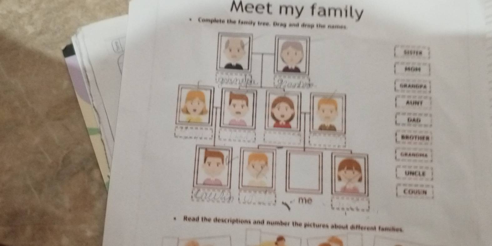 Meet my family 
Complete the family tree. Drag and drop the names 
5151E8 
MG 
AUT 
DAD 
R G3SER 
UNCLE 
Cousin 
Read the descriptions and number the pictures about different families.