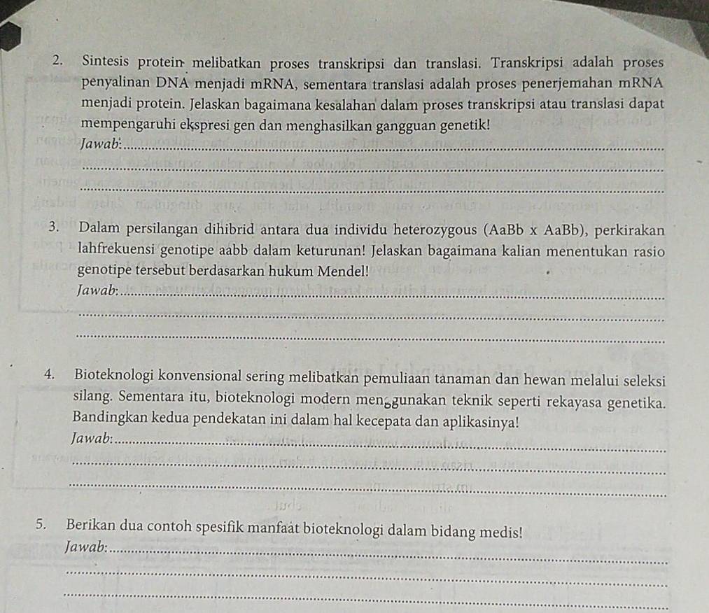 Sintesis protein melibatkan proses transkripsi dan translasi. Transkripsi adalah proses 
penyalinan DNA menjadi mRNA, sementara translasi adalah proses penerjemahan mRNA 
menjadi protein. Jelaskan bagaimana kesalahan dalam proses transkripsi atau translasi dapat 
mempengaruhi ekspresi gen dan menghasilkan gangguan genetik! 
Jawab:_ 
_ 
_ 
3. Dalam persilangan dihibrid antara dua individu heterozygous (AaBb x AaBb), perkirakan 
lahfrekuensi genotipe aabb dalam keturunan! Jelaskan bagaimana kalian menentukan rasio 
genotipe tersebut berdasarkan hukum Mendel! 
Jawab:_ 
_ 
_ 
4. Bioteknologi konvensional sering melibatkan pemuliaan tanaman dan hewan melalui seleksi 
silang. Sementara itu, bioteknologi modern menggunakan teknik seperti rekayasa genetika. 
Bandingkan kedua pendekatan ini dalam hal kecepata dan aplikasinya! 
Jawab:_ 
_ 
_ 
5. Berikan dua contoh spesifik manfaát bioteknologi dalam bidang medis! 
Jawab:_ 
_ 
_