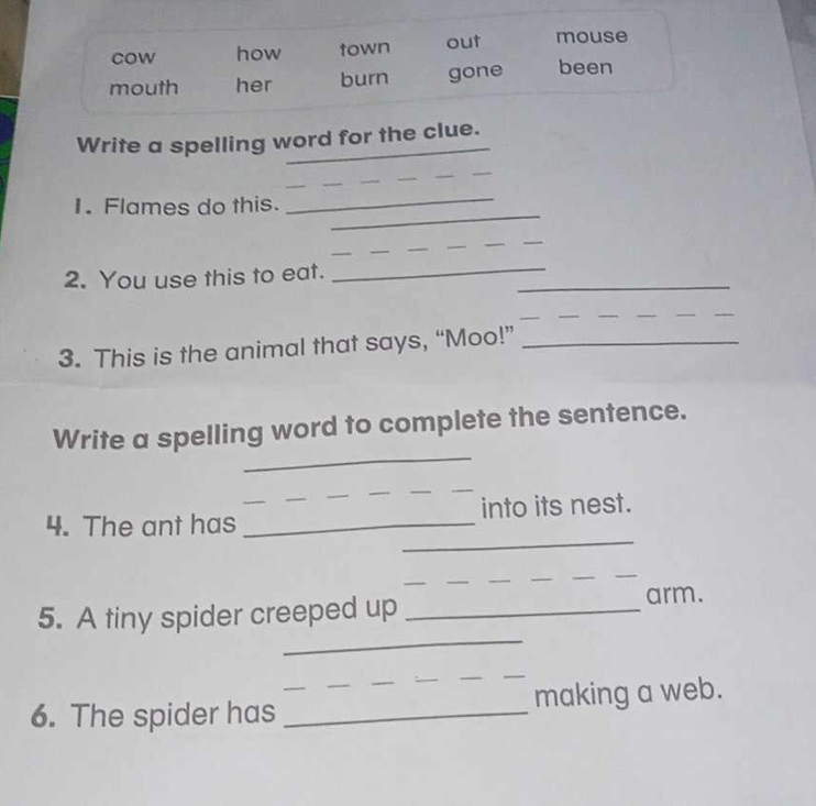 cow how town out mouse 
mouth her burn gone been 
_ 
Write a spelling word for the clue. 
_ 
_ 
1. Flames do this. 
_ 
__ 
_ 
2. You use this to eat. 
_ 
_ 
_ 
3. This is the animal that says, “Moo!”_ 
_ 
Write a spelling word to complete the sentence. 
_ 
__ 
_ 
4. The ant has __into its nest. 
_ 
_ 
_ 
_ 
_ 
5. A tiny spider creeped up _arm. 
_ 
_ 
6. The spider has __making a web.