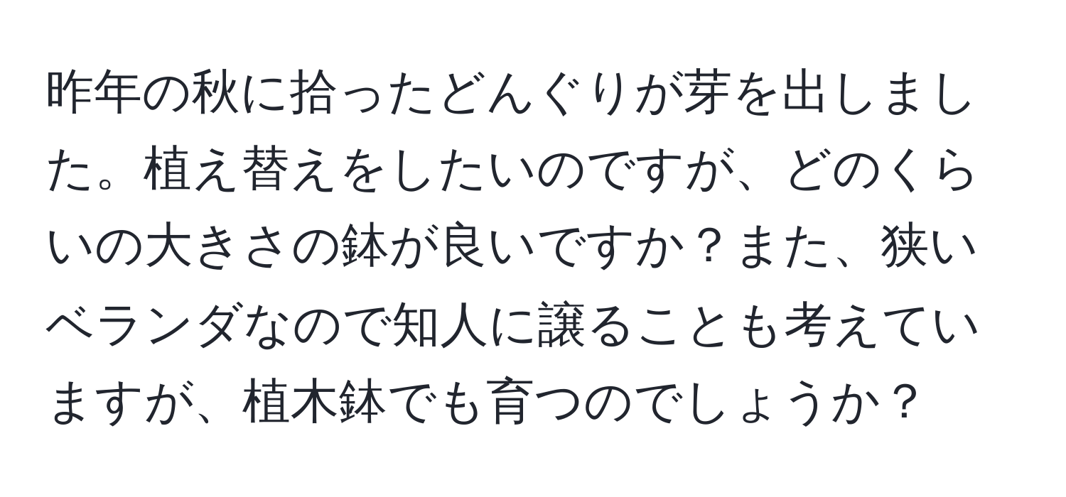 昨年の秋に拾ったどんぐりが芽を出しました。植え替えをしたいのですが、どのくらいの大きさの鉢が良いですか？また、狭いベランダなので知人に譲ることも考えていますが、植木鉢でも育つのでしょうか？