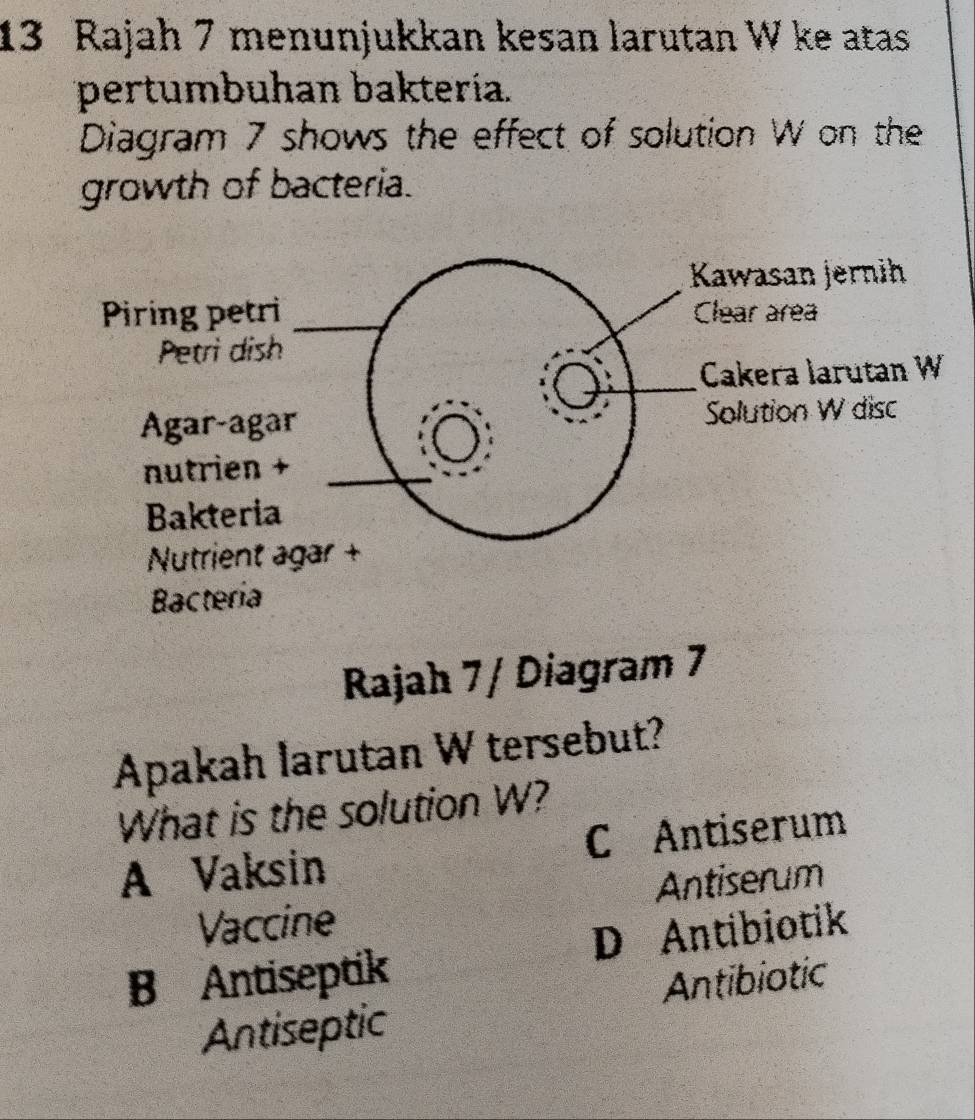 Rajah 7 menunjukkan kesan larutan W ke atas
pertumbuhan baktería.
Diagram 7 shows the effect of solution W on the
growth of bacteria.
Rajah 7 / Diagram 7
Apakah larutan W tersebut?
What is the solution W?
A Vaksin C Antiserum
Vaccine Antiserum
B Antiseptik D Antibiotik
Antibiotic
Antiseptic