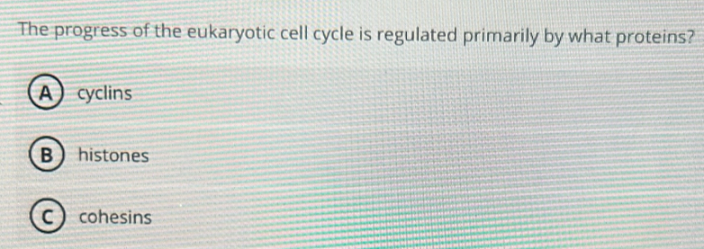 The progress of the eukaryotic cell cycle is regulated primarily by what proteins?
Acyclins
Bhistones
Ccohesins