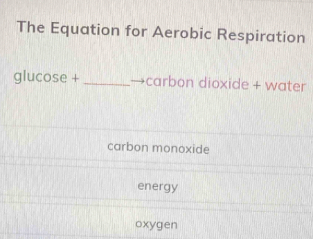 The Equation for Aerobic Respiration
glucose + _carbon dioxide + water
carbon monoxide
energy
oxygen