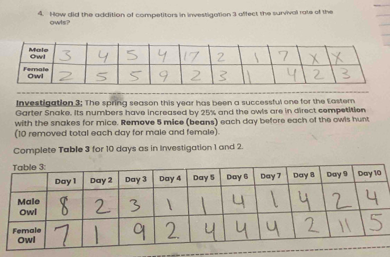 How did the addition of competitors in investigation 3 affect the survival rate of the 
owls? 
Investigation 3: The spring season this year has been a successful one for the Eastern 
Garter Snake. Its numbers have increased by 25% and the owls are in direct competition 
with the snakes for mice. Remove 5 mice (beans) each day before each of the owls hunt 
(10 removed total each day for male and female). 
Complete Table 3 for 10 days as in Investigation 1 and 2.