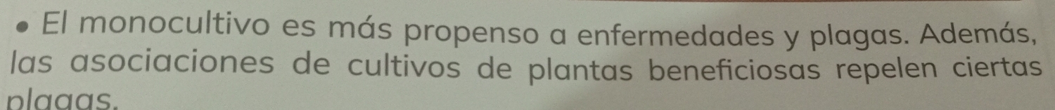 El monocultivo es más propenso a enfermedades y plagas. Además, 
las asociaciones de cultivos de plantas beneficiosas repelen ciertas 
plaaas.