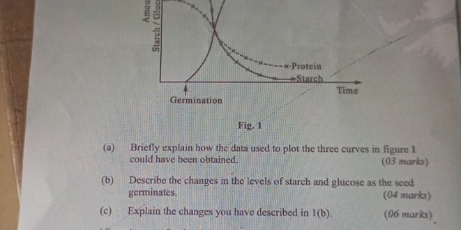 ě 
(a) Briefly explain how the data used to plot the three curves in figure 1 
could have been obtained. (03 marks) 
(b) Describe the changes in the levels of starch and glucose as the seed 
germinates. (04 marks) 
(c) Explain the changes you have described in l(b). (06 marks)