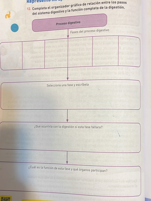 Represento 
12. Completa el organizador gráfico de relación entre los pasos 
del sistema digestivo y la función completa de la digestión. 
Proceso digestivo 
Fases del proceso digestivo 
Selecciona una fase y escríbela 
¿Qué ocurriría con la digestión si esta fase faltara? 
¿Cuál es la función de esta fase y qué órganos participan? 
ar