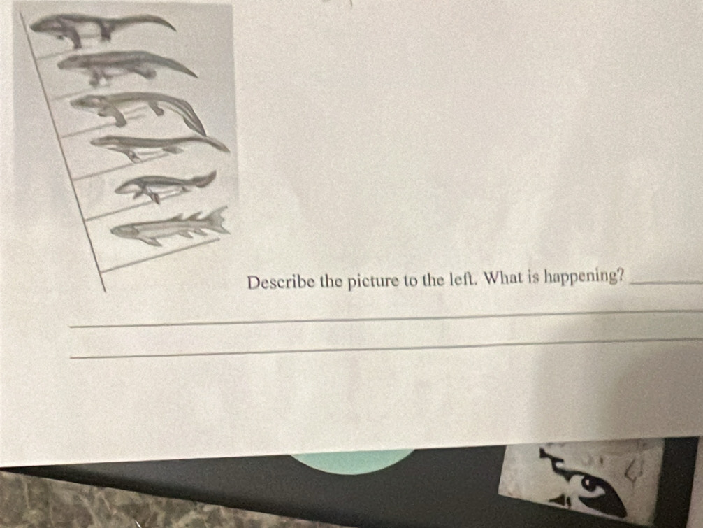 Describe the picture to the left. What is happening?_ 
_ 
_