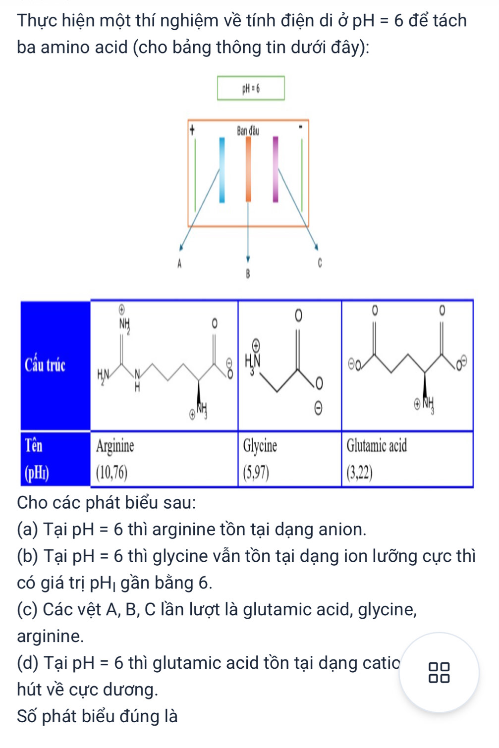 Thực hiện một thí nghiệm về tính điện di sigma pH=pH=6 để tách
ba amino acid (cho bảng thông tin dưới đây):
pH=6
Ban đầu
C
④
0
0
NH
0
Cầu trúc 00
H,N
8
H
④'
Tên Arginine Glycine Glutamic acid
(pHi) (10,76) (5,97) (3,22)
Cho các phát biểu sau:
(a) Tại pH=6 thì arginine tồn tại dạng anion.
(b) Tại pH=6 thì glycine vẫn tồn tại dạng ion lưỡng cực thì
có giá trị pH_1 gần bằng 6.
(c) Các vệt A, B, C lần lượt là glutamic acid, glycine,
arginine.
(d) Tai pH=6 thì glutamic acid tồn tại dạng catio
hút về cực dương.
Số phát biểu đúng là