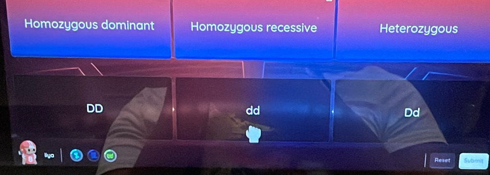 Homozygous dominant Homozygous recessive Heterozygous
DD
dd
Dd
Reset Submiţ