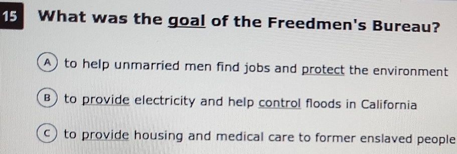 What was the goal of the Freedmen's Bureau?
A) to help unmarried men find jobs and protect the environment
B) to provide electricity and help control floods in California
c) to provide housing and medical care to former enslaved people