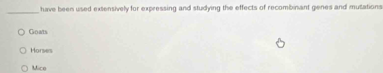 have been used extensively for expressing and studying the effects of recombinant genes and mutations
Goats
Morses
Mice