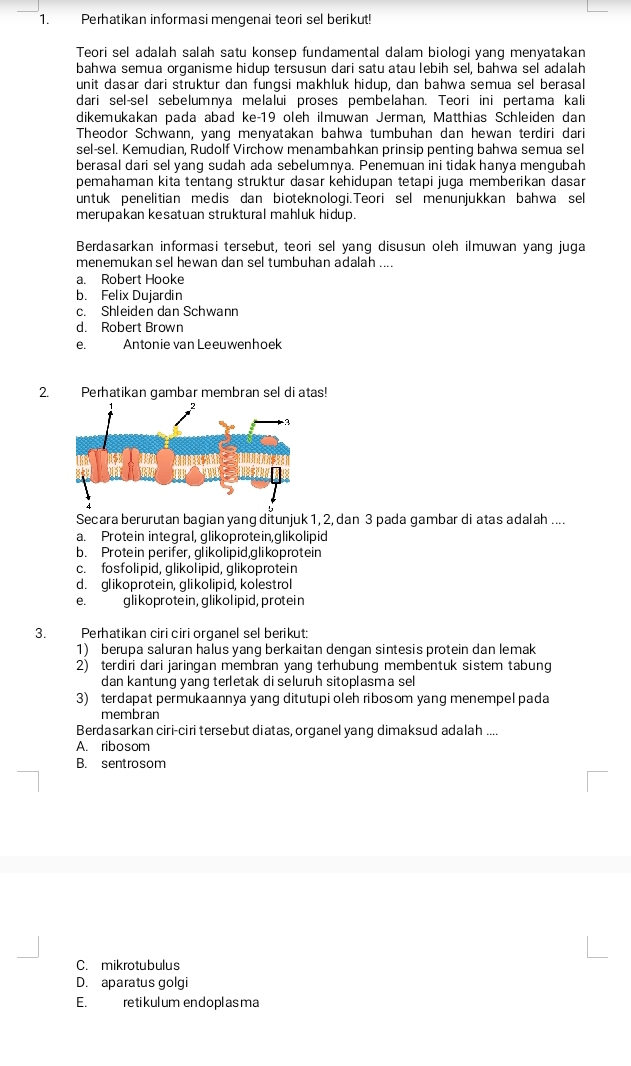 Perhatikan informasi mengenai teori sel berikut!
Teori sel adalah salah satu konsep fundamental dalam biologi yang menyatakan
bahwa semua orqanisme hidup tersusun dari satu atau lebih sel, bahwa sel adalah
unit dasar dari struktur dan fungsi makhluk hidup, dan bahwa semua sel berasal
dari sel-sel sebelumnya melalui proses pembelahan. Teori ini pertama kali
dikemükakan pada abad ke−19 oleh ilmuwan Jerman. Matthias Schleiden dan
Theodor Schwann, yang menyatakan bahwa tumbuhan dan hewan terdiri dari
sel-sel. Kemudian, Rudolf Virchow menambahkan prinsip penting bahwa semua sel
berasal dari sel yang sudah ada sebelumnya. Penemuan ini tidak hanya mengubah
pemahaman kita tentang struktur dasar kehidupan tetapi juga memberikan dasar
untuk penelitian medis dan bioteknologi.Teori sel menunjukkan bahwa sel
merupakan kesatuan struktural mahluk hidup.
Berdasarkan informasi tersebut, teori sel yang disusun oleh ilmuwan yang juga
menemukan sel hewan dan sel tumbuhan adalah ....
a. Robert Hooke
b. Felix Dujardin
c. Shleiden dan Schwann
d. Robert Brown
e. Antonie van Leeuwenhoek
2. Perhatikan gambar membran sel di atas!
Secara berurutan bagian yang ditunjuk 1,2, dan 3 pada gambar di atas adalah ....
a. Protein integral, glikoprotein,glikolipid
b. Protein perifer, glikolipid,glikoprotein
c. fosfolipid, glikolipid, glikoprotein
d. glikoprotein, glikolipid, kolestrol
e. glikoprotein, glikol ipid, protein
3. Perhatikan ciri ciri organel sel berikut:
1) berupa saluran halus yang berkaitan dengan sintesis protein dan lemak
2) terdiri dari jaringan membran yang terhubung membentuk sistem tabung
dan kantung yang terletak di seluruh sitoplasma sel
3) terdapat permukaannya yang ditutupi oleh ribosom yang menempel pada
membran
Berdasarkan ciri-ciri tersebut diatas, organel yang dimaksud adalah ....
A. ribosom
B. sentrosom
C. mikrotubulus
D. aparatus golgi
E.  retikul um endoplas ma