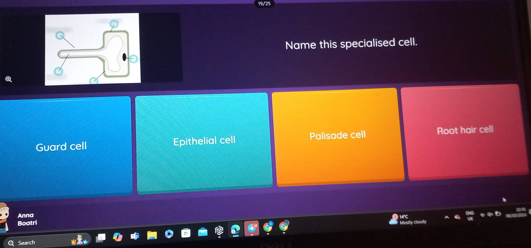 Name this specialised cell.
Guard cell Epithelial cell Palisade cell Root hair cell
Anna
Boatri
Q Search