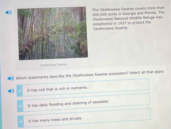 )The Okefenokee Swamp covers more than
400,000 acres in Georgia and Florida. The
Okefenokee National Wildlife Refuge was
established in 1937 to protect the
Okefenokee Swamp.
Okefenokee Swamp
Which statements describe the Okefenokee Swamp ecosystem? Select all that apply.
It has soil that is rich in nutrients.
It has daily flooding and draining of seawater.
It has many trees and shrubs.