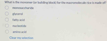 What is the monomer (or building block) for the macromolecule rice is made of?
monosaccharide
glycerol
fatty acid
nucleotide
amino acid
Clear my selection