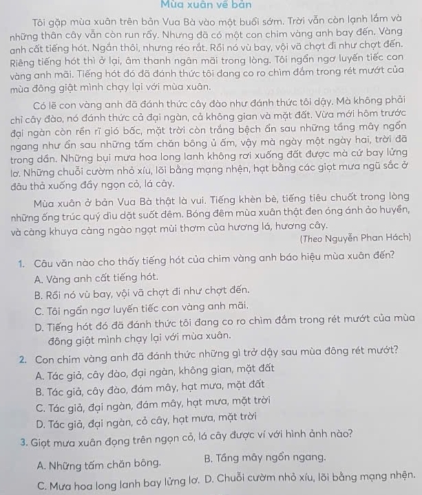 Mùa xuân về bản
Tôi gặp mùa xuân trên bản Vua Bà vào một buổi sớm. Trời vẫn còn lạnh lắm và
những thân cây vẫn còn run rầy. Nhưng đã có một con chim vàng anh bay đến. Vàng
anh cất tiếng hót. Ngắn thôi, nhưng réo rắt. Rồi nó vù bay, vội vã chợt đi như chợt đến.
Riêng tiếng hót thì ở lại, âm thanh ngân mãi trong lòng. Tôi ngần ngơ luyến tiếc con
vàng anh mãi. Tiếng hót đó đã đánh thức tôi đang co ro chìm đắm trong rét mướt của
mùa đông giật mình chạy lại với mùa xuân.
Có lẽ con vàng anh đã đánh thức cây đào như đánh thức tôi dậy. Mà không phải
chỉ cây đào, nó đánh thức cả đại ngàn, cả không gian và mặt đất. Vừa mới hôm trước
đại ngàn còn rền rĩ gió bấc, mặt trời còn trắng bệch ẩn sau những tầng mây ngổn
ngang như ẩn sau những tấm chăn bông ủ ấm, vậy mà ngày một ngày hai, trời đã
trong dần. Những bụi mưa hoa long lanh không rơi xuống đất được mà cứ bay lửng
lơ. Những chuỗi cườm nhỏ xíu, lõi bằng mạng nhện, hạt bằng các giọt mưa ngũ sắc ở
đâu thả xuống đầy ngọn cỏ, lá cây.
Mùa xuân ở bản Vua Bà thật là vui. Tiếng khèn bè, tiếng tiêu chuốt trong lòng
những ống trúc quý dìu dặt suốt đêm. Bóng đêm mùa xuân thật đen óng ánh ảo huyền,
và càng khuya càng ngào ngạt mùi thơm của hương lá, hương cây.
(Theo Nguyễn Phan Hách)
1. Câu văn nào cho thấy tiếng hót của chim vàng anh báo hiệu mùa xuân đến?
A. Vàng anh cất tiếng hót.
B. Rối nó vù bay, vội vã chợt đi như chợt đến.
C. Tôi ngần ngơ luyến tiếc con vàng anh mãi,
D. Tiếng hót đó đã đánh thức tôi đang co ro chìm đắm trong rét mướt của mùa
đông giật mình chạy lại với mùa xuân.
2. Con chim vàng anh đã đánh thức những gì trở dậy sau mùa đông rét mướt?
A. Tác giả, cây đào, đại ngàn, không gian, mặt đất
B. Tác giả, cây đào, đám mây, hạt mưa, mặt đất
C. Tác giả, đại ngàn, đám mây, hạt mưa, mặt trời
D. Tác giả, đại ngàn, cỏ cây, hạt mưa, mặt trời
3. Giọt mưa xuân đọng trên ngọn cỏ, lá cây được ví với hình ảnh nào?
A. Những tấm chăn bông. B. Tầng mây ngồn ngang.
C. Mưa hoa long lanh bay lửng lơ. D. Chuỗi cườm nhỏ xíu, lõi bằng mạng nhện.