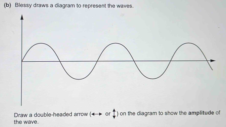 Blessy draws a diagram to represent the waves. 
Draw a double-headed arrow ( or ↑) on the diagram to show the amplitude of 
the wave.