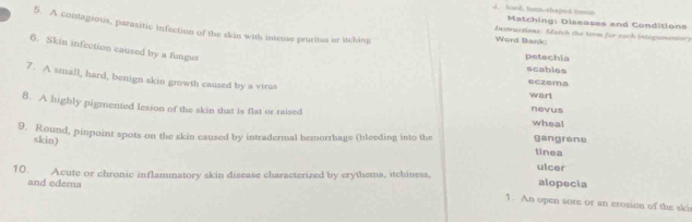 hard, boun-shaped tassm Matching: Diseases and Conditions
5. A contagious, parasitic infection of the skin with intense pruritus or itchinu
Instructions: Match the form for each integumeniary
Word Bank
6. Skin infection caused by a fungus
petechia
scables
7. A small, hard, benign skin growth caused by a virus
eczema
wart
8. A highly pigmented lesion of the skin that is flat or raised
nevus
whea!
9. Round, pinpoint spots on the skin caused by intradermal hemorrhage (bleeding into the gangrene tinea
skin)
ulcer
and edema
alopecia
10. Acute or chronic inflammatory skin disease characterized by erythema, itchiness, 1. An open sore or an erosion of the ski