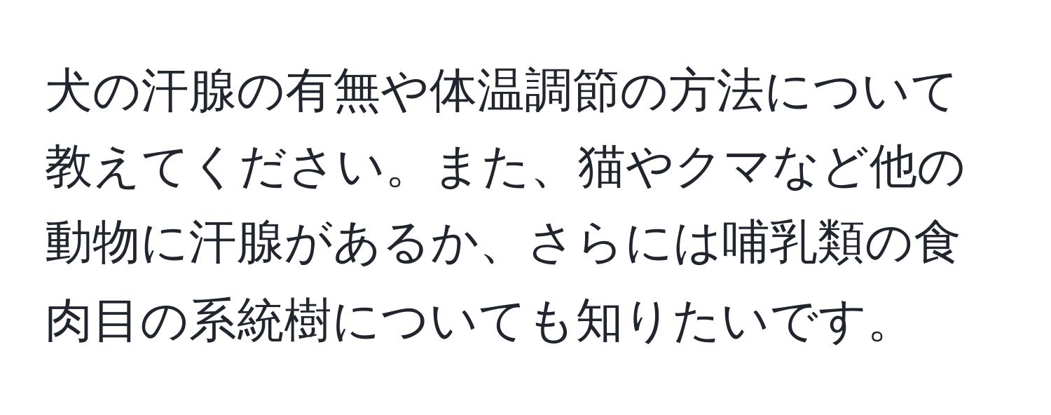 犬の汗腺の有無や体温調節の方法について教えてください。また、猫やクマなど他の動物に汗腺があるか、さらには哺乳類の食肉目の系統樹についても知りたいです。