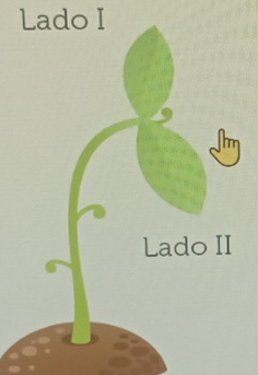 Lado I