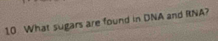 What sugars are found in DNA and RNA?
