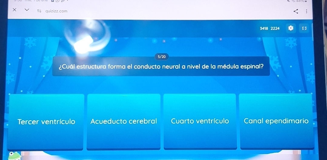 quizizz.com
3418 2224
5/20
¿Cuál estructura forma el conducto neural a nivel de la médula espinal?
Tercer ventrículo Acueducto cerebral Cuarto ventrículo Canal ependimario