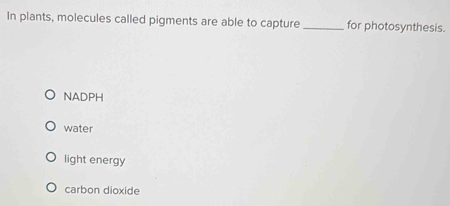 In plants, molecules called pigments are able to capture _for photosynthesis.
NADPH
water
light energy
carbon dioxide