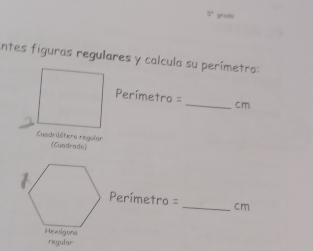 5° grada
entes figuras regulares y calcula su perímetro:
Perímetro = _ cm
Cuadrilátero regular (Cuadrado)
Perímetro = cm
regular