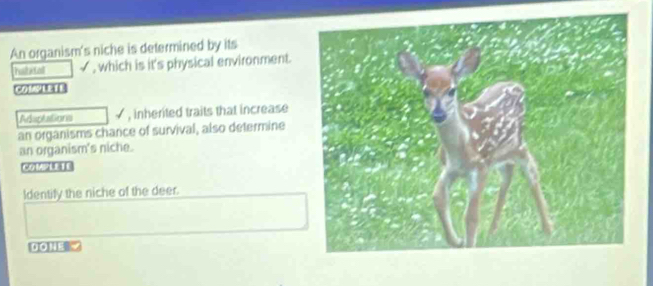 An organism's niche is determined by its 
√, which is it's physical environment. 
COMWLETE 
Adertations , inherited traits that increase 
an organisms chance of survival, also determine 
an organism's niche. 
Identify the niche of the deer. 
DOHE Y