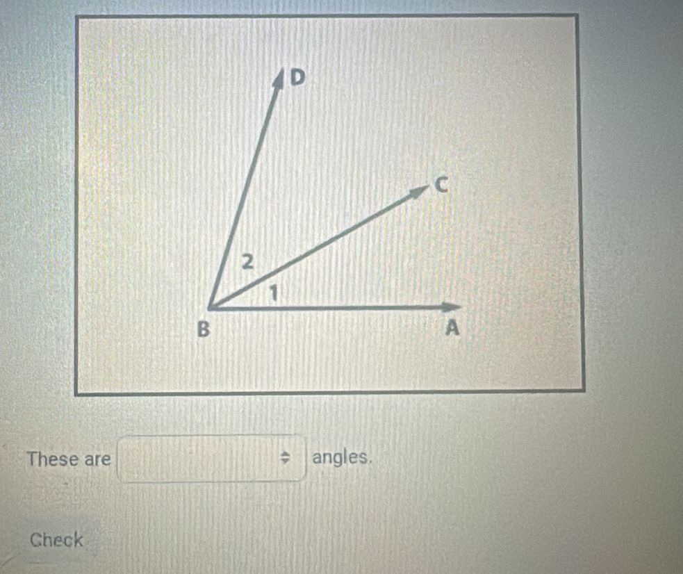 These are □ = angles. 
Check