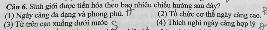 Sinh giới được tiến hóa theo bạo nhiêu chiều hướng sau đây?
(1) Ngày càng đa dạng và phong phú. (2) Tổ chức cơ thể ngày càng cao.
(3) Từ trên cạn xuống dưới nước (4) Thích nghi ngày càng hợp lý