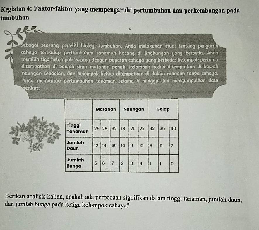 Kegiatan 4: Faktor-faktor yang mempengaruhi pertumbuhan dan perkembangan pada 
tumbuhan 
Sebagai seorang peneliti biologi tumbuhan, Anda melakukan studi tentang pengaru 
cahaya terhadap pertumbuhan tanaman kacang di lingkungan yang berbeda. Anda 
memilih tiga kelompok kacang dengan paparan cahaya yang berbeda; kelompok pertama 
ditempatkan di bawah sinar matahari penuh, kelompok kedua ditempatkan di bawah 
naungan sebagian, dan kelompok ketiga ditempatkan di dalam ruangan tanpa cahaya. 
Anda memantau pertumbuhan tanaman selama 4 minggu dan mengumpulkan data 
erikut 
Berikan analisis kalian, apakah ada perbedaan signifikan dalam tinggi tanaman, jumlah daun, 
dan jumlah bunga pada ketiga kelompok cahaya?