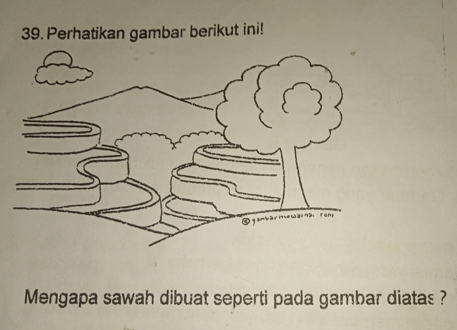 Perhatikan gambar berikut ini! 
Mengapa sawah dibuat seperti pada gambar diatas ?